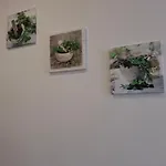 Ivana * 코페르